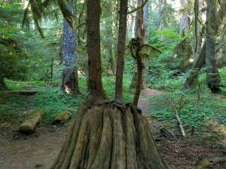 Bagby Hotsprings Campground