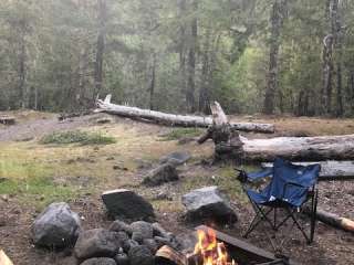 McNeil Campground