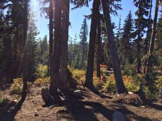 Peninsula (Olallie) Campground