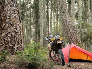 Rainy Lake Campground