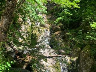 Beacon Rock State Park Group Campground — Beacon Rock State Park