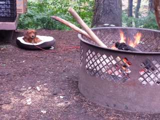 Mount Hood National Forest Sunstrip Campground - TEMPORARILY CLOSE DUE TO FIRE DAMAGE