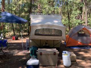 Jo Bangles Dispersed Campsite Kaibab NF