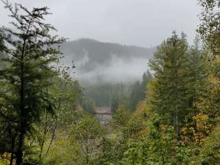 North Santiam State Recreation Area (Mongold)