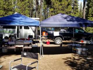 Santiam State Forest Rock Creek Campsites