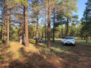 Walker Hill Dispersed (Coconino NF)