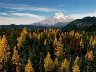 Fivemile Butte Lookout