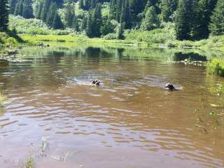 Santiam State Forest Rhody Lake Recreation Area