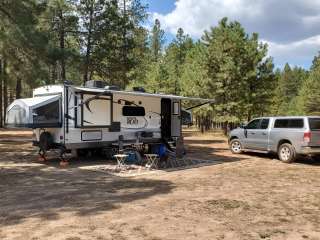 Buck Mountain Dispersed Camping