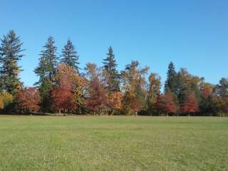 Molalla River State Park