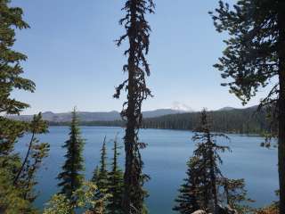 Camp Ten (Olallie) Campground