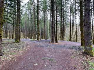 Drakes Forest RV Campsites