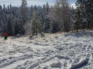 Billy Bob Sno Park