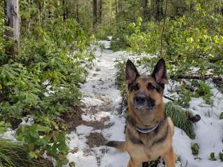 Pioneer Bridle Trail Camp off Hwy 26