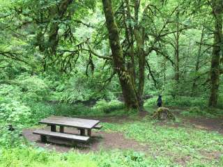 Elk Bend Recreation Site