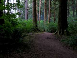 Tillamook State Forest Nehalem Falls Campground