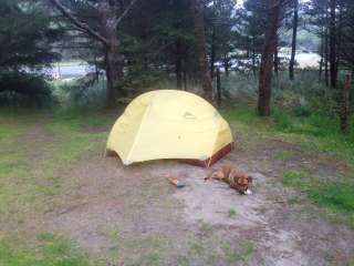 Whalen Island Campground