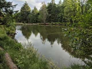 Healing ponds farm retreat and healing center 