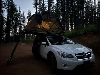 Dispersed Camping Near Pioneer-Indian Trail in Siuslaw National Forest