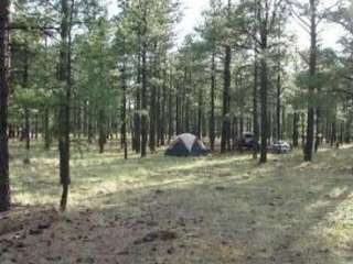 Benny Creek Campground