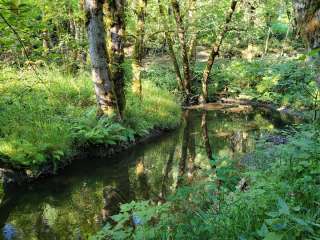 Scaponia County Park