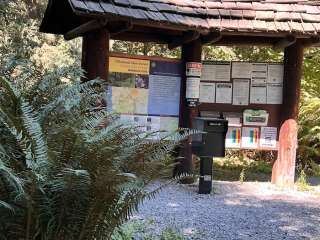 Nehalem Falls Campground