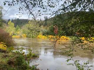 Nehalem River Waterfront