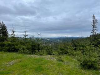 Tillamook Forest Dispersed - Shots and Pecks