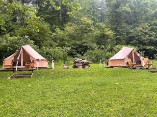 Little Green Yurt of Cedar Mountain