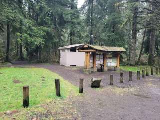 Clatsop State Forest Kerry Road Campsite