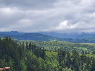 Clatsop State Forest Plympton Ridge Road Campsite