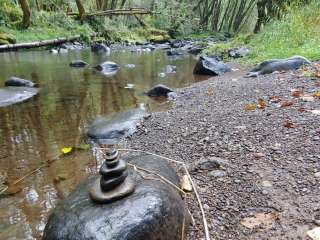 Tillamook State Forest South Fork Trask