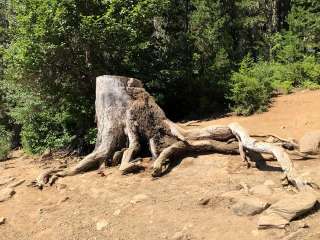 Goose Lake Campground