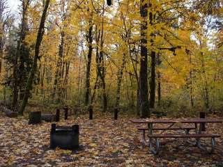 Beaver Campground