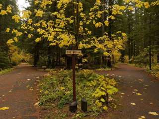 Paradise Creek Campground