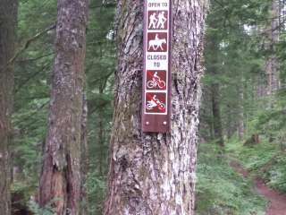 Snag Creek Trailhead Dispersed