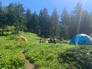 Big Huckleberry Mountain Dispersed Campground