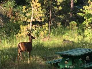 Big Cedars County Campground