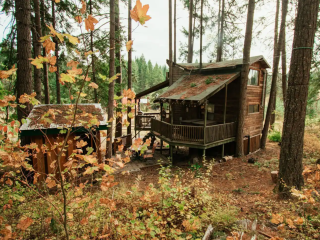 Tree House Tranquil A Tree - Romantic Escape