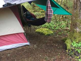 Gifford Pinchot National Forest-Canyon Creek Dispersed Camping