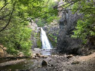 Dog Creek Falls Camp