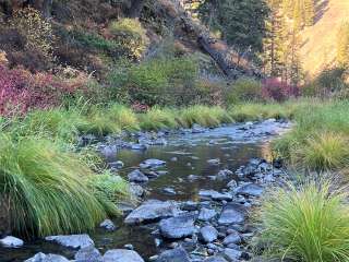 Ukiah-Dale Forest State Park and Campground