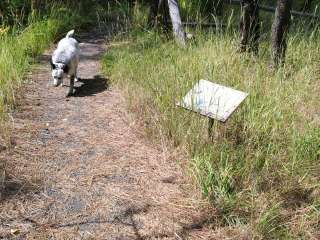 Bear Wallow Creek