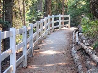 Cutsforth Park Campground