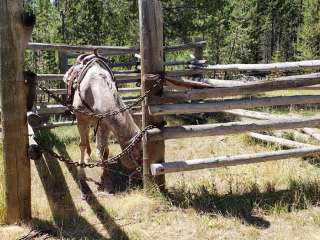 Big Sarvice Corral Campground