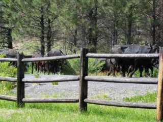 Oregon Mine Campground