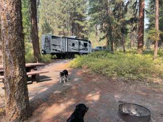 Wallowa-Whitman National Forest Yellow Pine Campground