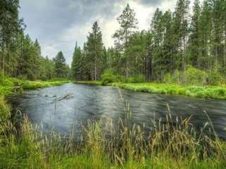 Camp Sherman Campground