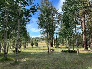 Apache National Forest Winn Campground