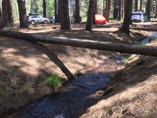 Cold Springs Campground (OR)